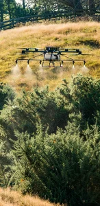Gorse and Weed Drone Spraying Auckland