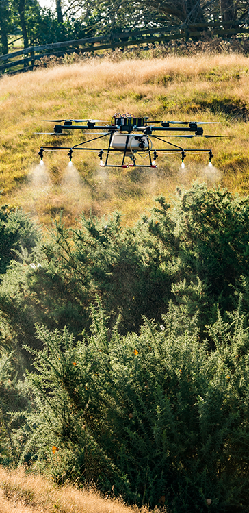 Gorse and Weed Drone Spraying Auckland