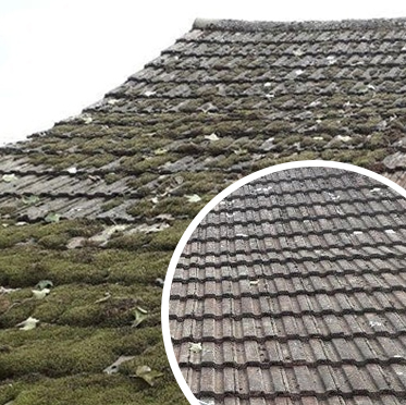 Tile Roof Spraying for Moss Mold & Lichen